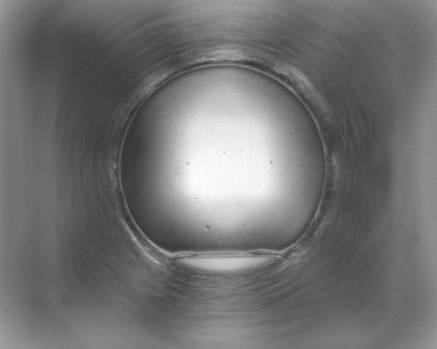 X0000068731225200605192310