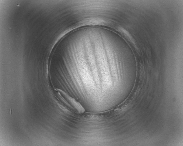 X0000068731226200605192310