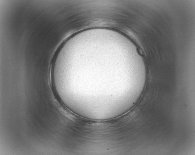 X0000068731227200605192310