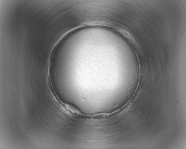 X0000068731228200605192311