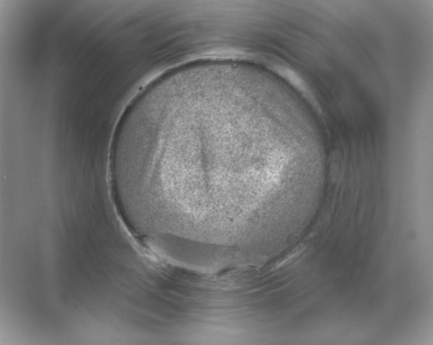 X0000068731229200605192311