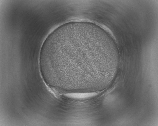 X0000068731231200605192311