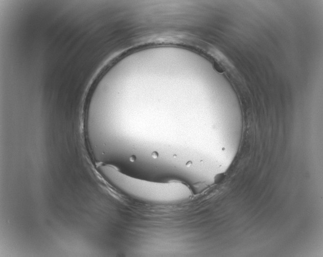 X0000068731232200605192311