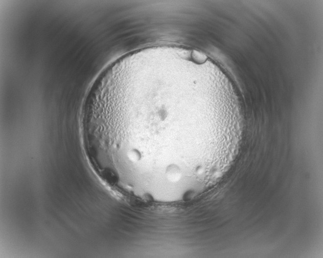 X0000068731235200605192311