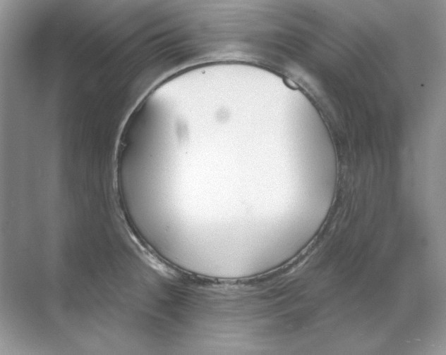 X0000068731236200605192311