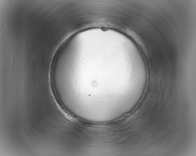 X0000068731237200605192311