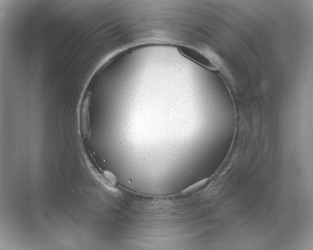 X0000068731238200605192311