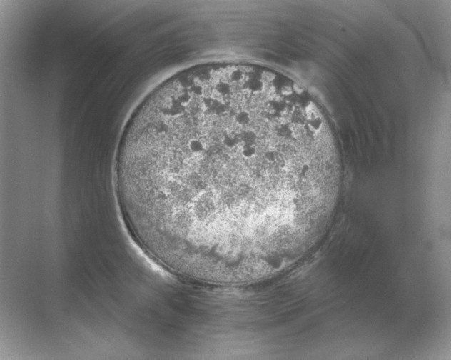 X0000068731239200605192311