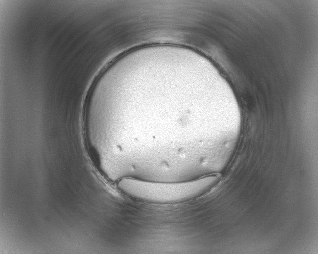 X0000068731240200605192311