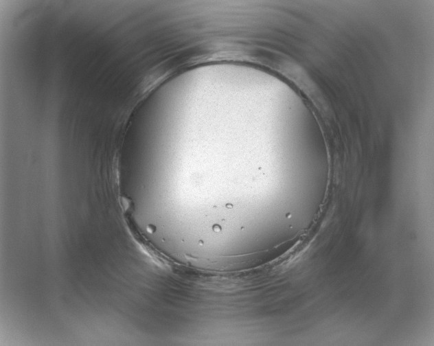 X0000068731241200605192311