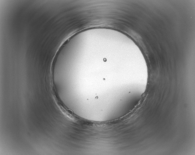 X0000068731242200605192311