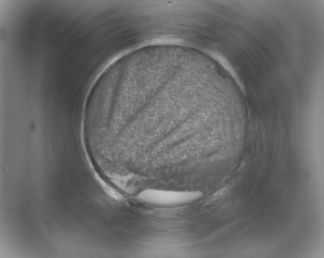 X0000068731245200605192311