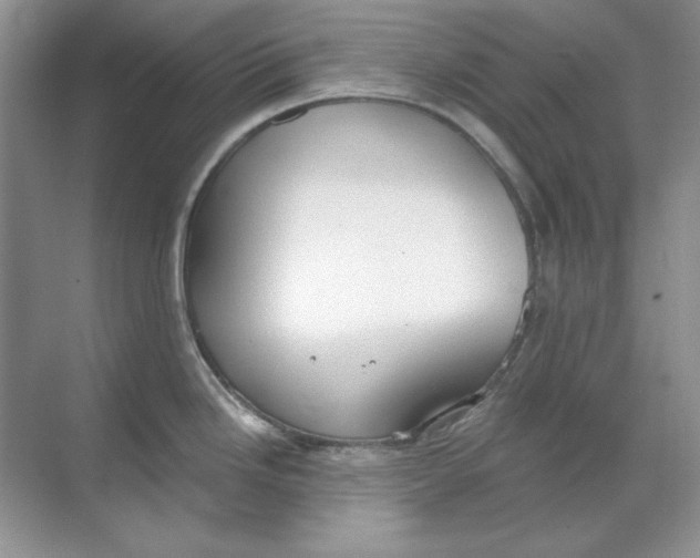 X0000068731246200605192311