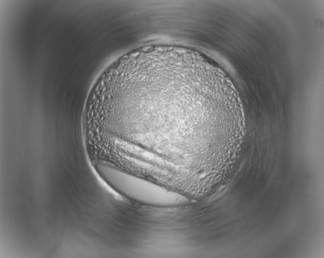 X0000068731247200605192311