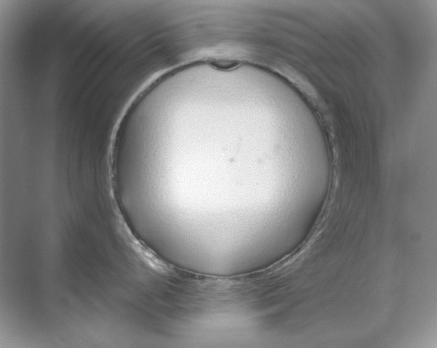 X0000068731248200605192311