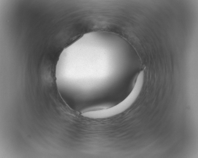 X0000068731250200605192310