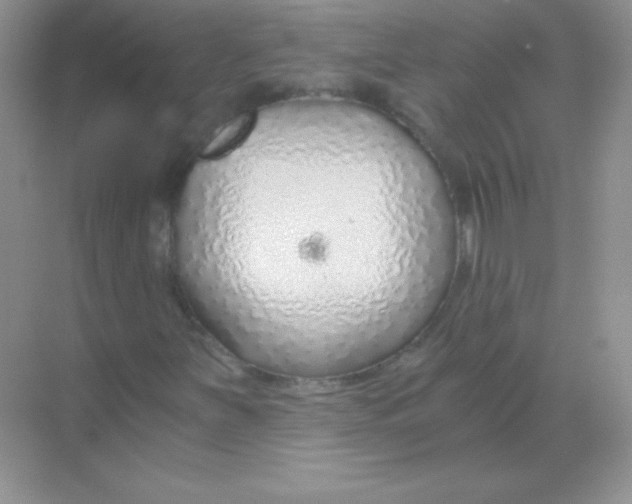 X0000068731251200605192310