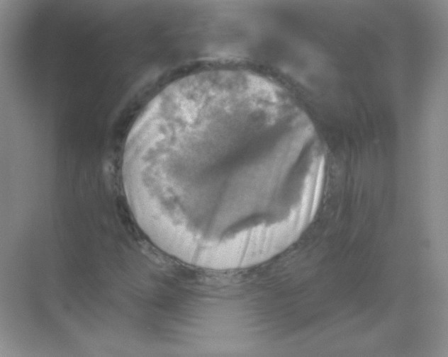 X0000068731254200605192310