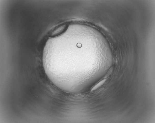 X0000068731255200605192310