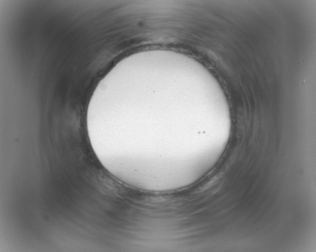 X0000068731257200605192310