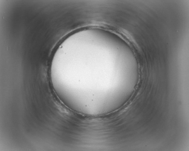 X0000068731260200605192310