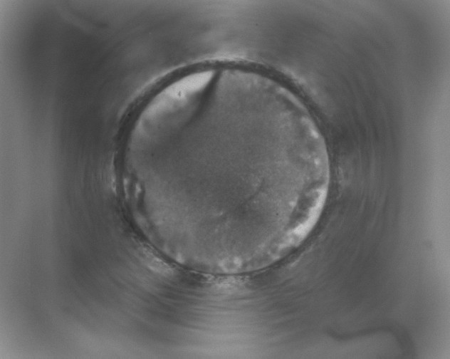 X0000068731262200605192310