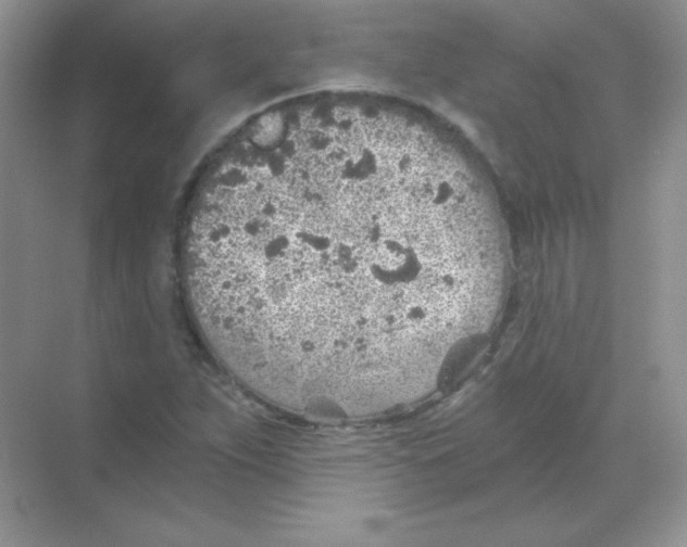 X0000068731263200605192310