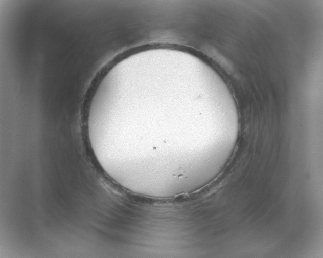 X0000068731264200605192310