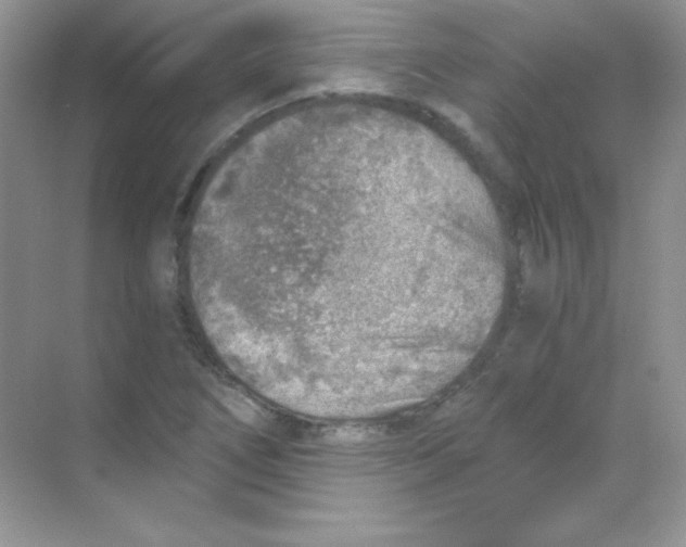 X0000068731266200605192310