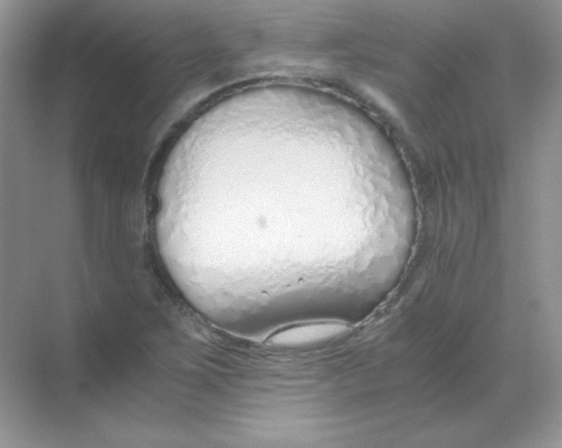 X0000068731267200605192310