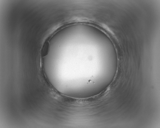 X0000068731269200605192310