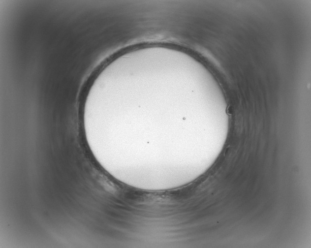 X0000068731270200605192310