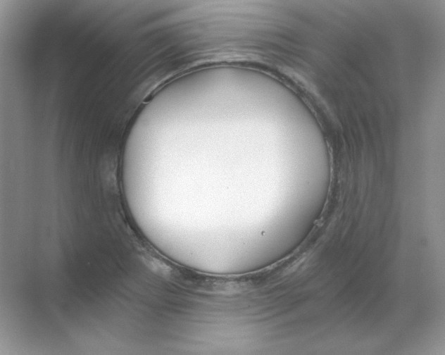 X0000068731273200605192310