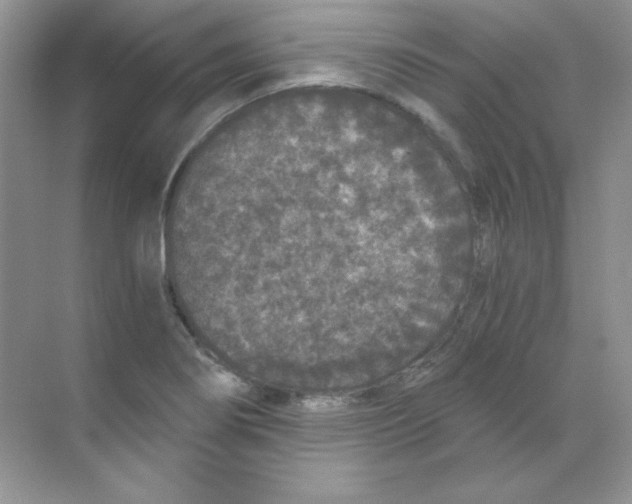 X0000068731274200605192310