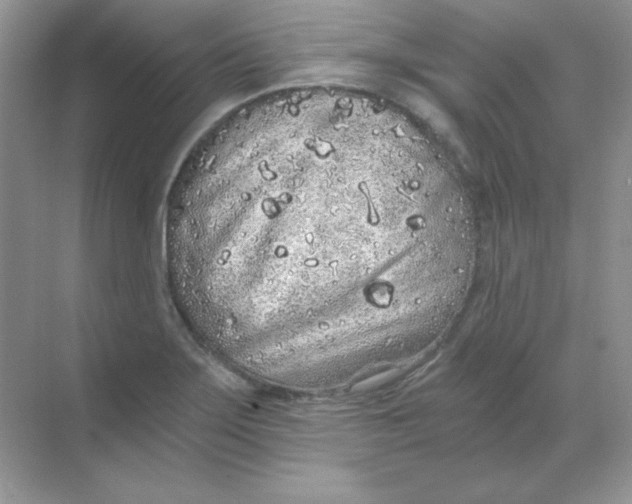 X0000068731275200605192310