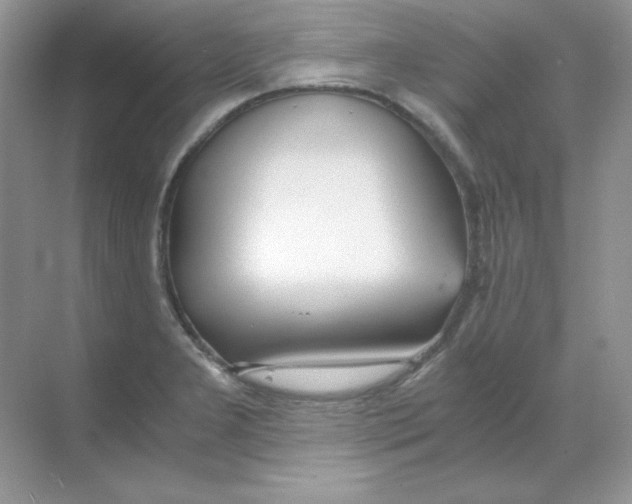 X0000068731277200605192310