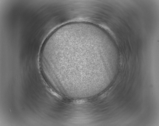 X0000068731278200605192310