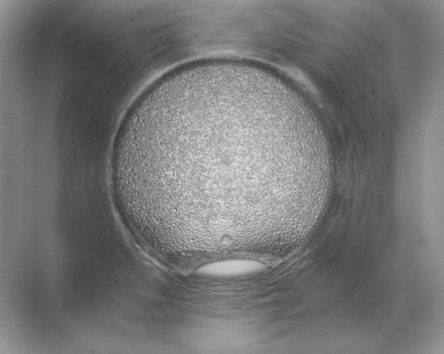 X0000068731279200605192310