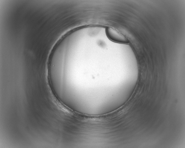 X0000068731280200605192310