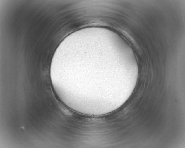 X0000068731281200605192309