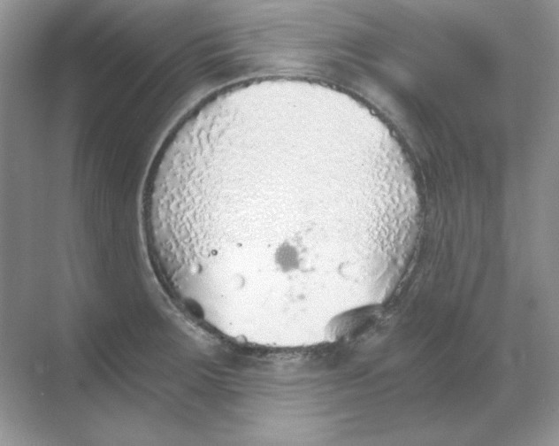 X0000068731283200605192309