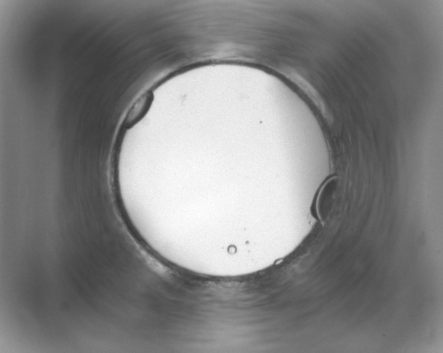 X0000068731285200605192309