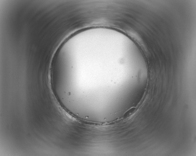 X0000068731288200605192309