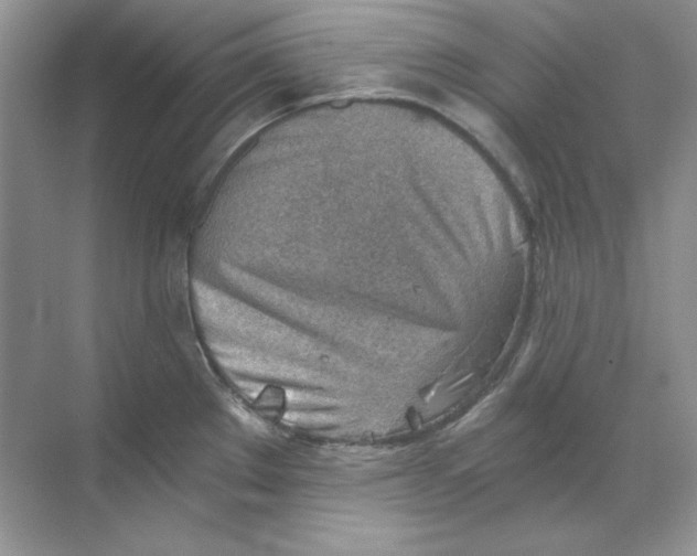 X0000068731289200605192309