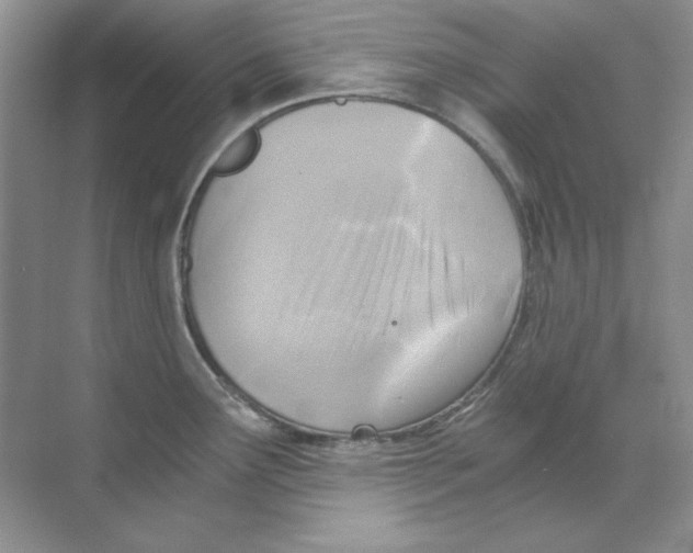 X0000068731291200605192309