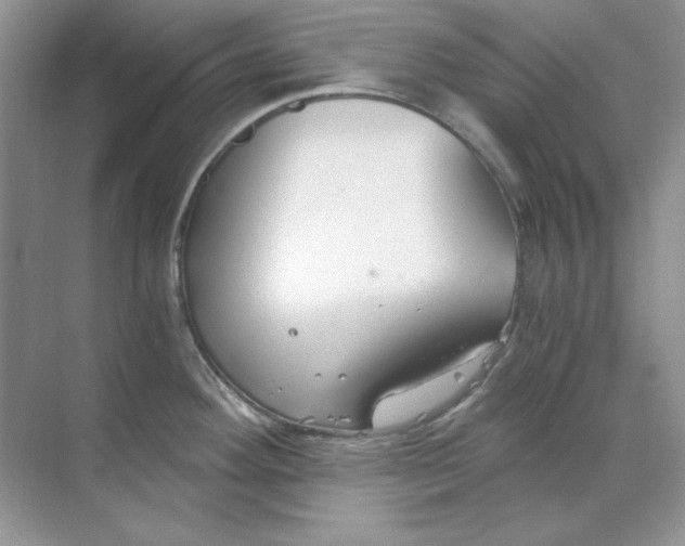 X0000068731292200605192309