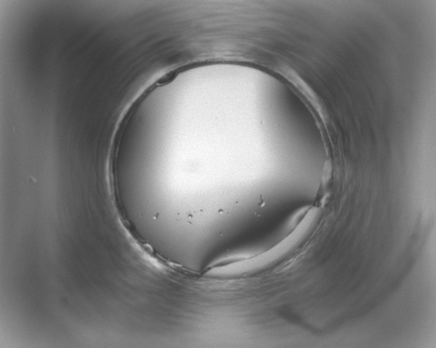 X0000068731293200605192309