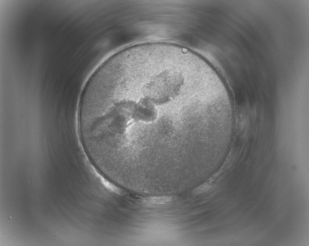 X0000068731294200605192309