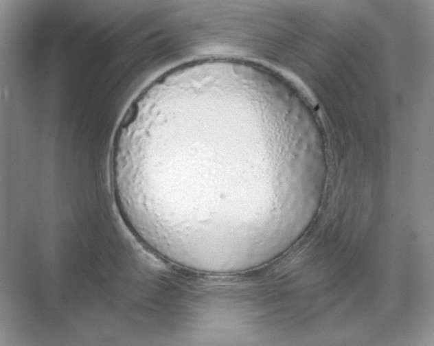 X0000068731295200605192309