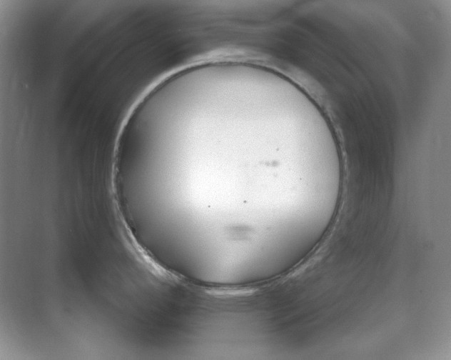 X0000068731296200605192309